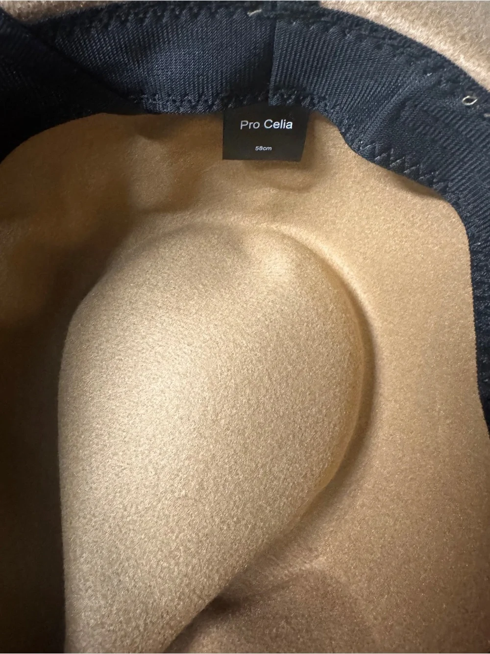Classic Camel Felt Wide-Brim Hat with Ribbon Trim